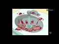 Family Guy Hank Hill Cameo FXX Airing Monday October 14 2024