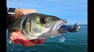 Виброхвост bass assassin turbo shads 4