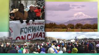 Psychology and Nature Video