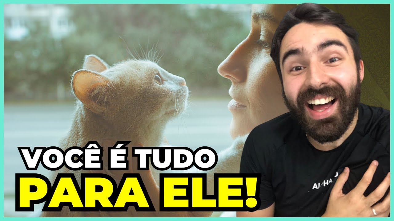 Se Seu Gato Faz ISSO, Você é a VIDA INTEIRA Dele!