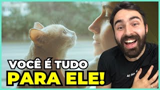 Se Seu Gato Faz ISSO, Você é a VIDA INTEIRA Dele!