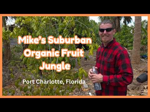 Florida Suburban Organic Fruit Jungle