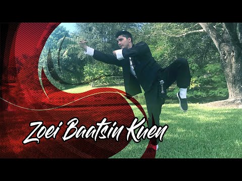 DMDT - Traditional Eight Immortals Fist