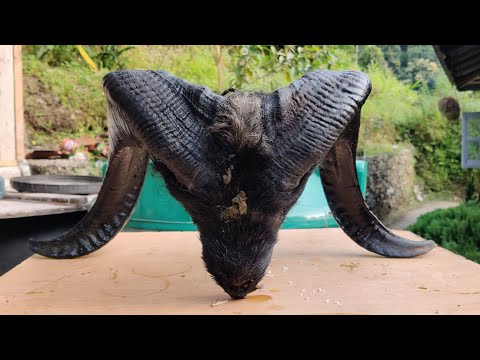 Subash timro karaoke