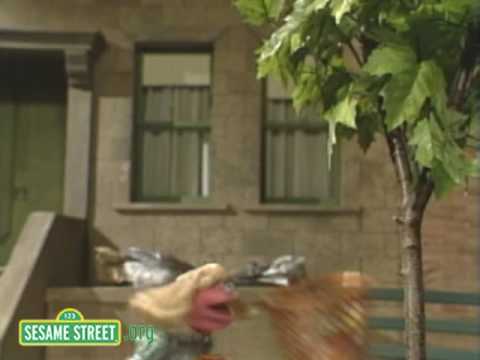 Sesame Street: The Empty Box