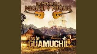 Que Bonito es el Amor