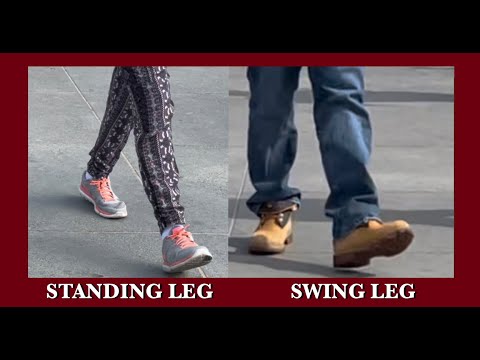 How to Walk Properly-Standing Leg vs Swing Leg