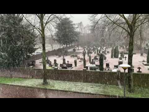 Eerste sneeuw deze ‘winter’, in Herkenbosch, Midden-Limburg.