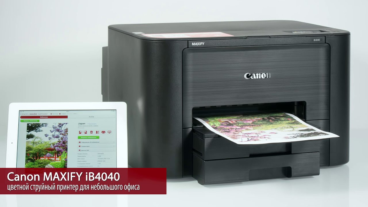 Принтер Для Печати Дома Какой Купить