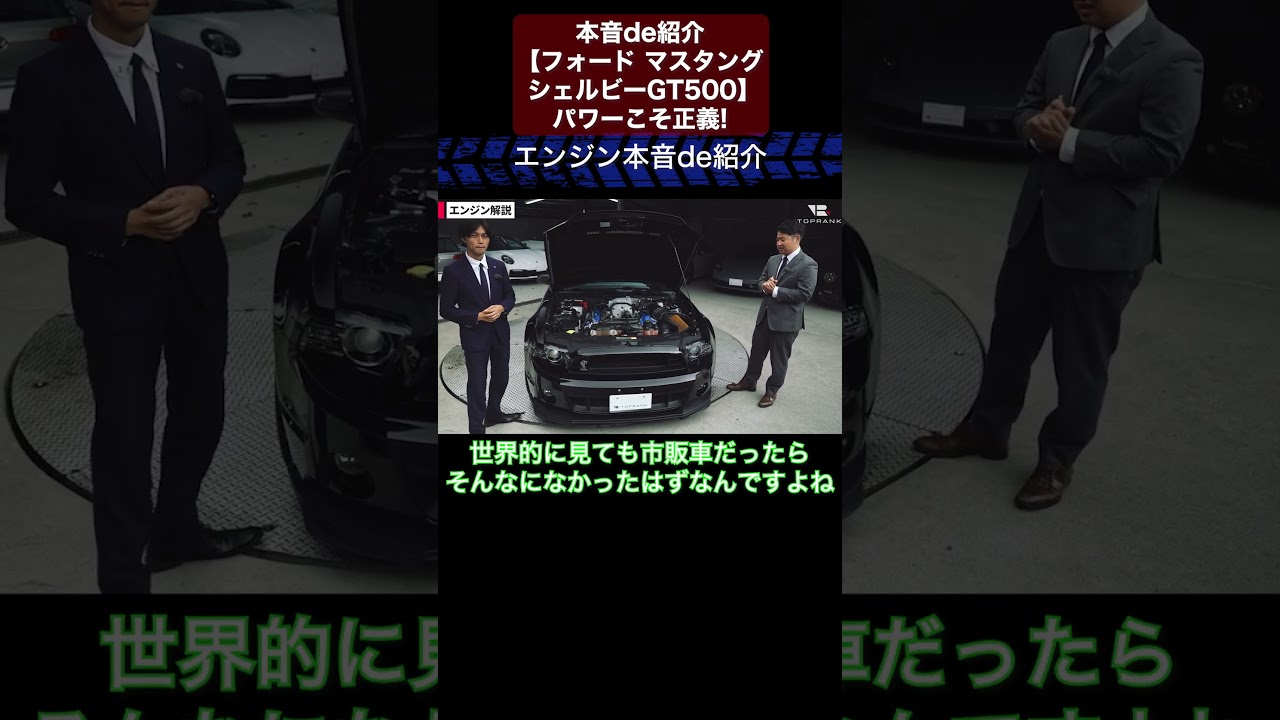 本音de紹介【フォード マスタング シェルビーGT500】パワーこそ正義!? 切り抜き1　#toprank  #トップランク #car  #輸入車 #マスタング #シェルビー #アメ車