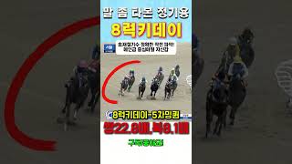말 좀 타본 정기용  "8럭키데이우승" 송재철기수 정확한 작전 파악