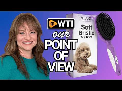 Soft Bristle Dog Brush For Short Haired Cats Or Dogs - Firm Bristles To Remove Dust - WTI product video review