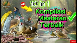 Download lagu MASTERAN LEVEL DEWA! 10 IN 1 BIKIN MB NGAMUK BONGKAR ISIAN (Cililin, Kapas Tembak) Jernih HD#murai  mp3 Download lagu MASTERAN LEVEL DEWA! 10 IN 1 BIKIN MB NGAMUK BONGKAR ISIAN (Cililin, Kapas Tembak) Jernih HD#murai  mp3