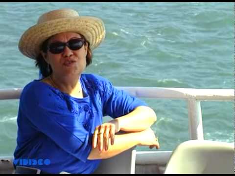 Ilda de Castro - Vamos Tentar Novamente (Vídeo Oficial) (1998)