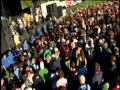 Flogging Molly - What's Left of the Flag (Live, Warped Tour).mpg
