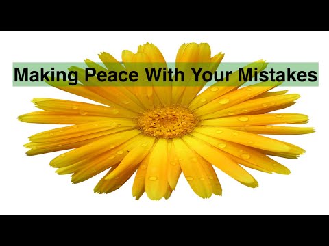 Self Forgiveness Meditation - A 5D Upgrade with Michelle Skaletski-Boyd - SoulFelt
