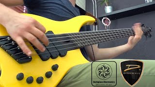 Periphery - Absolomb (Bass cover by Werner Erkelens)