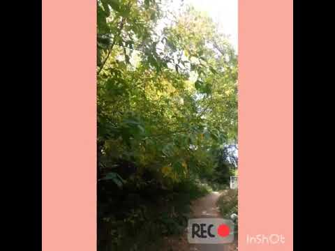 Красота в мелочах, иду домой со школы♥♥♥