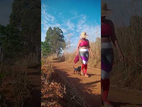 Caminhada sertaneja Comunidade Santa Rita município Vianópolis Goiás Brasil