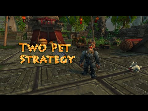 Sully (Celestial Tournament) Two Pet Strategy