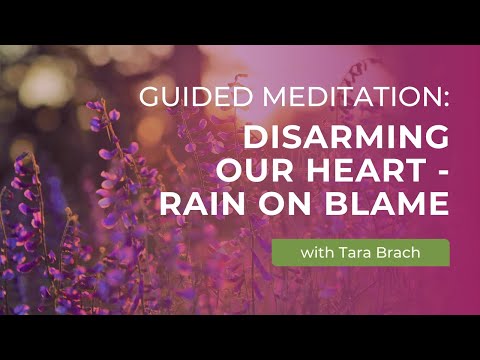 Guided Meditation: Disarming Our Heart - RAIN on Blame with Tara Brach