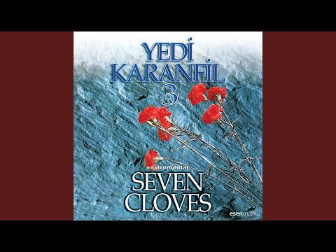 Denizin Dibinde Haçcam