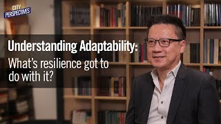 Understanding adaptability: What's resilience got to do with it