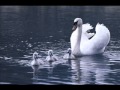 Johann Strauss - Vienna Waltz.wmv 