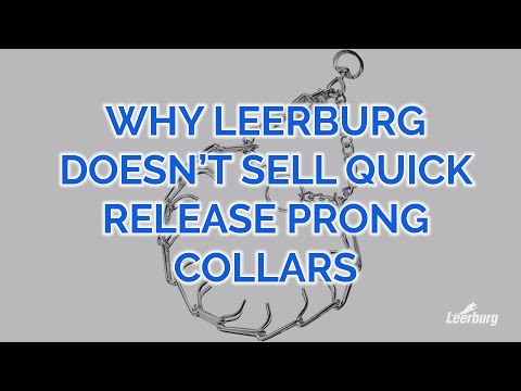 Why Leerburg Doesn’t Sell Quick Release Prong Collars