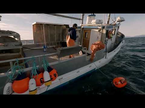 Halibut Fishing | Backlog Pt.1 (Oct 2024)