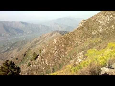 dir beauty,,,,,,, ( by hamid adil )