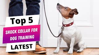✅ Best shock collar for dog training: Shock collar for dog training (Buying Guide)