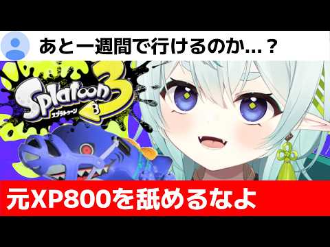【スプラ3】元XP800の意地を見せてやる！2500更新を目指すのじゃ！清楚な神様のXマッチ【スプラトゥーン3】【神掛ショウ/vtuber】