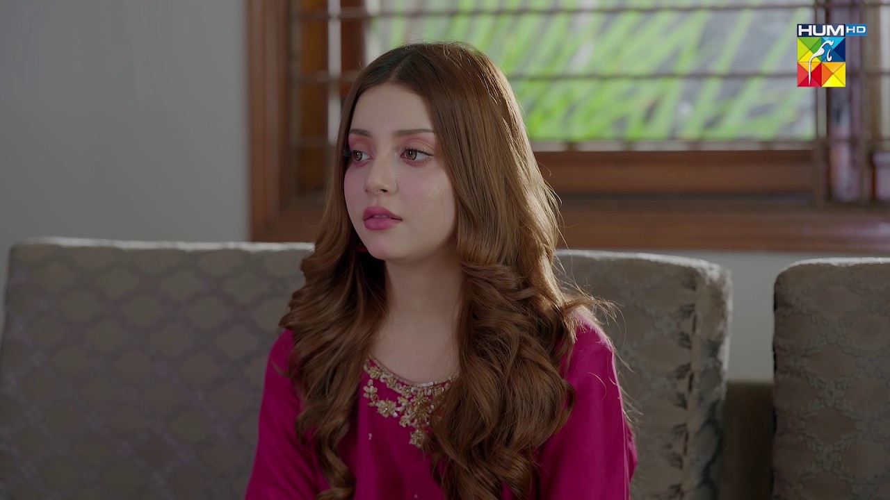Chalo Is Dosti Ko Rishte Mein Badal Dete Hain...!! Naraz Hai Zindagi - HUM TV