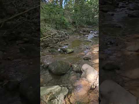 chácara $600mil  #valparaiso #goiás #rural #rurallife #farm #area #fazenda