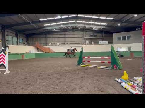 Horse - Image 2