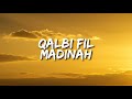 Qalbi Fil Madinah Maher Zain Harris J Vocals Only Without Music Lyrics Translation