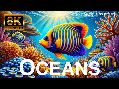 UNDERWATER PARADISE in 8K ULTRA HD - Beautiful, Colourful, Unbelievable Earth Ultra HD