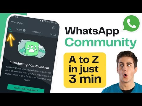 whatsapp data report now live on Android beta