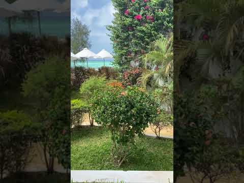 View From The Room at Nungwi Dreams in Zanzibar #Shorts