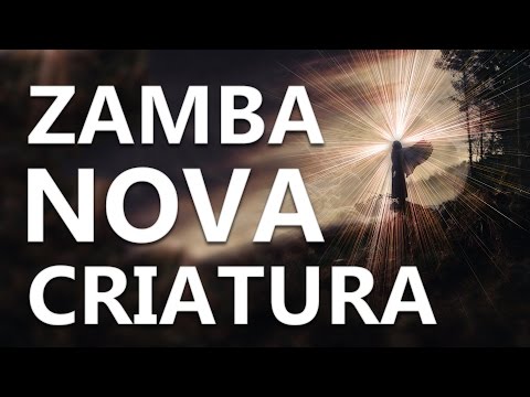 ZAMBA - NOVA CRIATURA