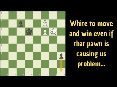 Interesting endgame