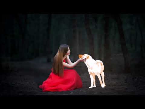Photo Editing - Girl & Dog