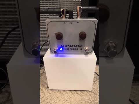 King Pomelo UPDOG Fuzz & Octave Fuzz 2026 - Cream image 4