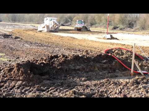 comment traiter les arbres a la chaux