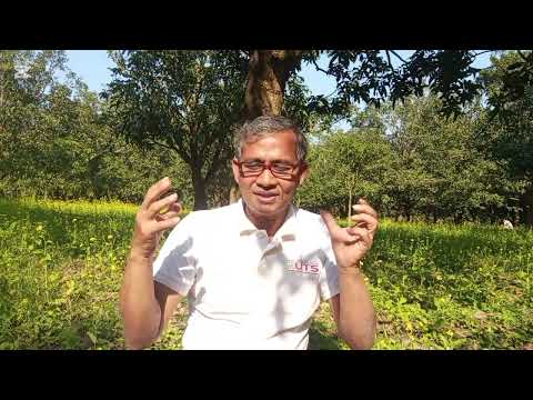 ধ্বংসলীলা Andrea Del Sarto by Robert Browning