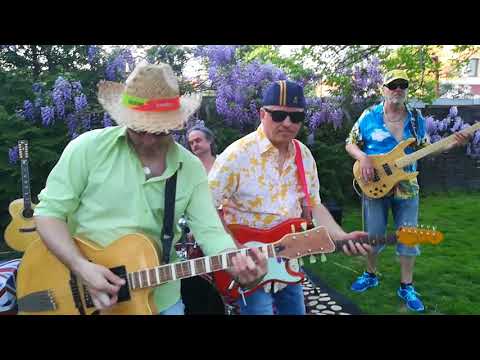 The ShellDoves - Perfidia (The Shadows 1962 cover)