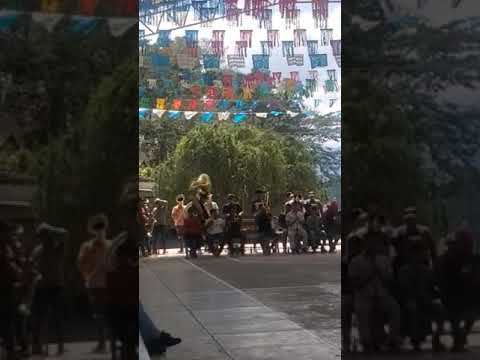 Banda Filarmonica de San Jaltepec Yaveo Oaxaca