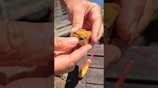 Download lagu When Cracking Opal Goes Wrong 😅 | Cutters’ Reality Check mp3