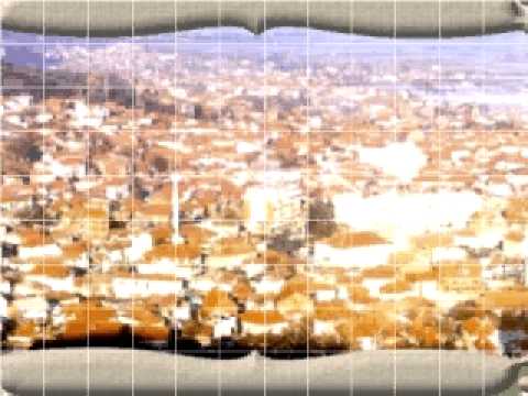 Qerim Hamidi Ti ku ke moj shazo